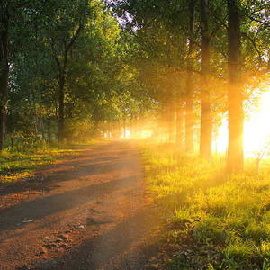 Light